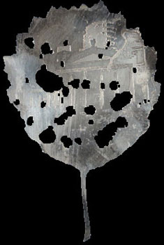 Brosch etched silver